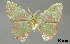  ( - USNM ENT 01920433)  @11 [ ] Unspecified (default): All Rights Reserved  Unspecified Unspecified