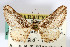  ( - AMNH_IZC 00197028)  @11 [ ] Unspecified (default): All Rights Reserved  Unspecified Unspecified
