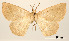  ( - USNM ENT 01920273)  @11 [ ] Unspecified (default): All Rights Reserved  Unspecified Unspecified