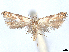  ( - CCDB-37888-A10)  @11 [ ] CreativeCommons - Attribution (2024) CBG Photography Group Centre for Biodiversity Genomics