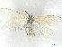  ( - CCDB-37888-E10)  @11 [ ] CreativeCommons - Attribution (2024) CBG Photography Group Centre for Biodiversity Genomics
