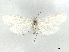  ( - CCDB-37888-F05)  @11 [ ] CreativeCommons - Attribution (2024) CBG Photography Group Centre for Biodiversity Genomics