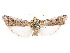  ( - CCDB-37889-A05)  @11 [ ] CreativeCommons - Attribution Share - Alike (2024) CBG Photography Group Centre for Biodiversity Genomics