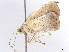  ( - CCDB-37902-C05)  @11 [ ] CreativeCommons - Attribution (2024) CBG Photography Group Centre for Biodiversity Genomics