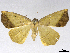  ( - CCDB-37902-C12)  @11 [ ] CreativeCommons - Attribution (2024) CBG Photography Group Centre for Biodiversity Genomics