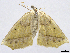 ( - CCDB-37902-D06)  @11 [ ] CreativeCommons - Attribution (2024) CBG Photography Group Centre for Biodiversity Genomics