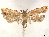  ( - CCDB-37908-H04)  @11 [ ] CreativeCommons - Attribution (2024) CBG Photography Group Centre for Biodiversity Genomics