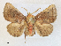  ( - CCDB-39049-G02)  @11 [ ] CreativeCommons - Attribution Share - Alike (2024) CBG Photography Group Centre for Biodiversity Genomics