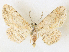  ( - CCDB-39051-G08)  @11 [ ] CreativeCommons - Attribution Share - Alike (2024) CBG Photography Group Centre for Biodiversity Genomics