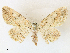  ( - CCDB-39051-G09)  @11 [ ] CreativeCommons - Attribution Share - Alike (2024) CBG Photography Group Centre for Biodiversity Genomics