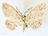 ( - CCDB-39051-G10)  @11 [ ] CreativeCommons - Attribution Share - Alike (2024) CBG Photography Group Centre for Biodiversity Genomics