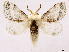  ( - CCDB-39053-B01)  @11 [ ] CreativeCommons - Attribution Share Alike (2024) CBG Photography Group Centre for Biodiversity Genomics