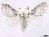  ( - CCDB-39053-B08)  @11 [ ] CreativeCommons - Attribution Share Alike (2024) CBG Photography Group Centre for Biodiversity Genomics