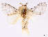  ( - CCDB-39053-B10)  @11 [ ] CreativeCommons - Attribution Share Alike (2024) CBG Photography Group Centre for Biodiversity Genomics