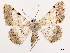  ( - CCDB-39054-F08)  @11 [ ] CreativeCommons - Attribution (2024) CBG Photography Group Centre for Biodiversity Genomics