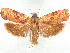  ( - CCDB-39057-C05)  @11 [ ] CreativeCommons - Attribution Share Alike (2024) CBG Photography Group Centre for Biodiversity Genomics