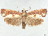  ( - CCDB-39057-C07)  @11 [ ] CreativeCommons - Attribution Share Alike (2024) CBG Photography Group Centre for Biodiversity Genomics
