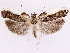  ( - CCDB-39057-G12)  @11 [ ] CreativeCommons - Attribution Share Alike (2024) CBG Photography Group Centre for Biodiversity Genomics