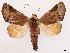 ( - CCDB-39058-D06)  @11 [ ] CreativeCommons - Attribution Share-Alike (2024) CBG Photography Group Centre for Biodiversity Genomics