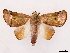  ( - CCDB-39058-D08)  @11 [ ] CreativeCommons - Attribution Share-Alike (2024) CBG Photography Group Centre for Biodiversity Genomics
