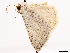  ( - CCDB-39059-F07)  @11 [ ] CreativeCommons - Attribution (2024) CBG Photography Group Centre for Biodiversity Genomics