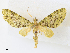  ( - CCDB-45156-A06)  @11 [ ] CreativeCommons - Attribution Share - Alike (2024) CBG Photography Group Centre for Biodiversity Genomics