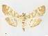  ( - CCDB-45156-E02)  @11 [ ] CreativeCommons - Attribution Share - Alike (2024) CBG Photography Group Centre for Biodiversity Genomics