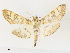  ( - CCDB-45156-E03)  @11 [ ] CreativeCommons - Attribution Share - Alike (2024) CBG Photography Group Centre for Biodiversity Genomics