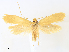  ( - CCDB-45156-E10)  @11 [ ] CreativeCommons - Attribution Share - Alike (2024) CBG Photography Group Centre for Biodiversity Genomics