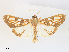  ( - CCDB-45156-F02)  @11 [ ] CreativeCommons - Attribution Share - Alike (2024) CBG Photography Group Centre for Biodiversity Genomics