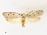  ( - CCDB-45156-H06)  @11 [ ] CreativeCommons - Attribution Share - Alike (2024) CBG Photography Group Centre for Biodiversity Genomics