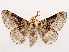  ( - CCDB-45162-B04)  @11 [ ] CreativeCommons - Attribution (2024) CBG Photography Group Centre for Biodiversity Genomics