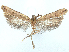  ( - CCDB-45163-B12)  @11 [ ] CreativeCommons - Attribution (2024) CBG Photography Group Centre for Biodiversity Genomics