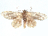  ( - CCDB-45163-G03)  @11 [ ] CreativeCommons - Attribution (2024) CBG Photography Group Centre for Biodiversity Genomics