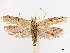  ( - CCDB-45164-A09)  @11 [ ] CreativeCommons - Attribution (2024) CBG Photography Group Centre for Biodiversity Genomics