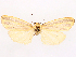  ( - CCDB-45164-E08)  @11 [ ] CreativeCommons - Attribution (2024) CBG Photography Group Centre for Biodiversity Genomics