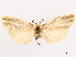  ( - CCDB-45164-F01)  @11 [ ] CreativeCommons - Attribution (2024) CBG Photography Group Centre for Biodiversity Genomics