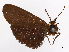  ( - CCDB-45164-H09)  @11 [ ] CreativeCommons - Attribution (2024) CBG Photography Group Centre for Biodiversity Genomics