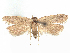  ( - CCDB-45165-B10)  @11 [ ] CreativeCommons - Attribution (2024) CBG Photography Group Centre for Biodiversity Genomics