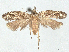  ( - CCDB-45165-C05)  @11 [ ] CreativeCommons - Attribution (2024) CBG Photography Group Centre for Biodiversity Genomics