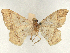  ( - CCDB-45165-F07)  @11 [ ] CreativeCommons - Attribution (2024) CBG Photography Group Centre for Biodiversity Genomics