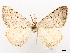  ( - CCDB-45171-A01)  @11 [ ] CreativeCommons - Attribution (2024) CBG Photography Group Centre for Biodiversity Genomics
