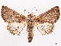  ( - CCDB-45171-A11)  @11 [ ] CreativeCommons - Attribution (2024) CBG Photography Group Centre for Biodiversity Genomics