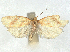  ( - CCDB-45172-B03)  @11 [ ] CreativeCommons - Attribution (2024) CBG Photography Group Centre for Biodiversity Genomics