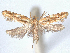  ( - CCDB-45172-D04)  @11 [ ] CreativeCommons - Attribution (2024) CBG Photography Group Centre for Biodiversity Genomics