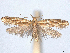  ( - CCDB-45172-D05)  @11 [ ] CreativeCommons - Attribution (2024) CBG Photography Group Centre for Biodiversity Genomics