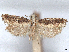  ( - CCDB-45172-D12)  @11 [ ] CreativeCommons - Attribution (2024) CBG Photography Group Centre for Biodiversity Genomics