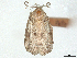  ( - CCDB-45172-H02)  @11 [ ] CreativeCommons - Attribution (2024) CBG Photography Group Centre for Biodiversity Genomics