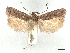  ( - CCDB-45173-B08)  @11 [ ] CreativeCommons - Attribution Share - Alike (2024) CBG Photography Group Centre for Biodiversity Genomics