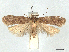  ( - CCDB-45173-C02)  @11 [ ] CreativeCommons - Attribution Share - Alike (2024) CBG Photography Group Centre for Biodiversity Genomics